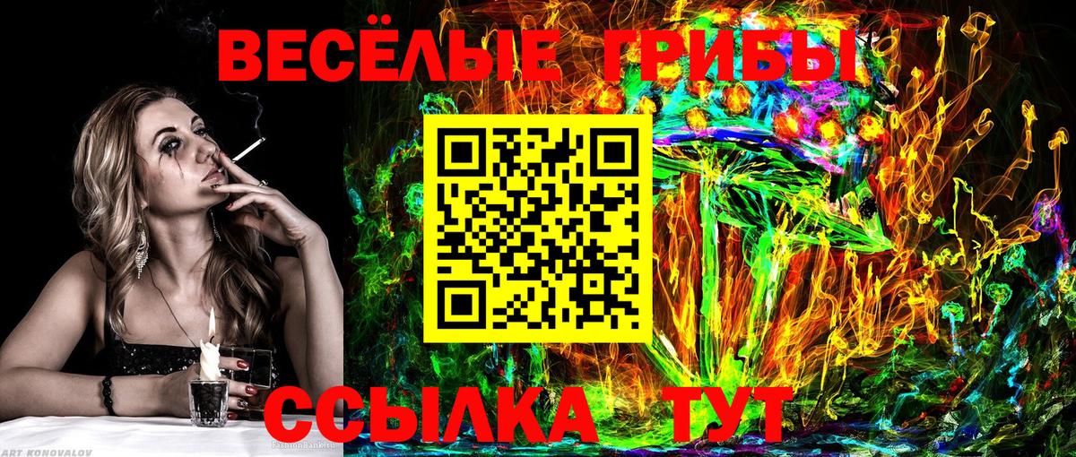 Псилоцибиновые грибы Cubensis  где купить наркоту  Новочебоксарск  Вход с VPN 